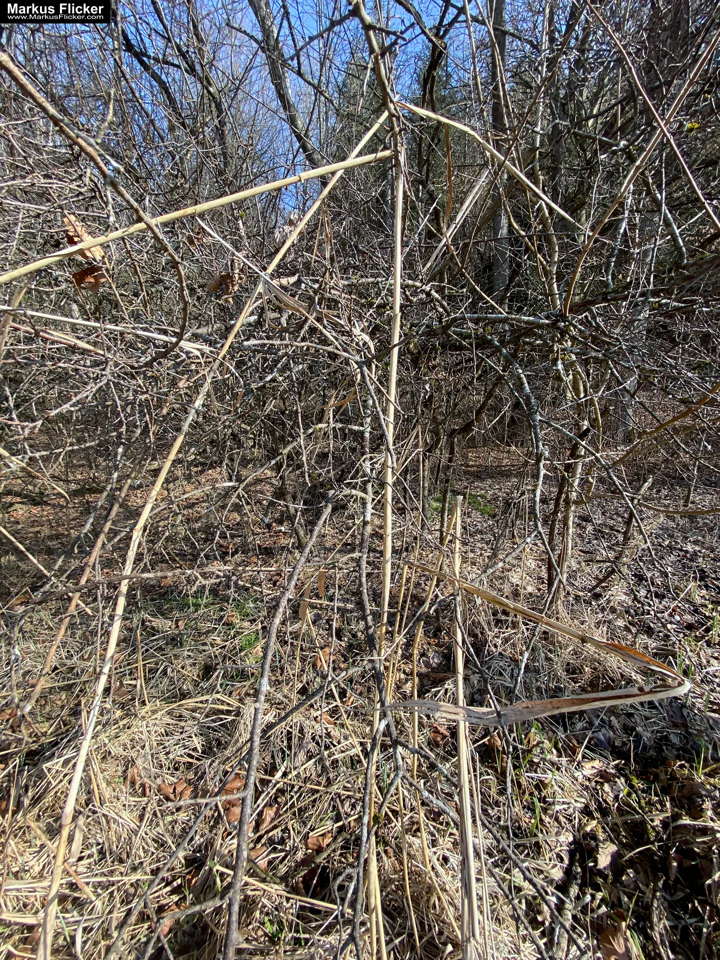 Thalersee Landeshauptstadt Graz Steiermark Österreich