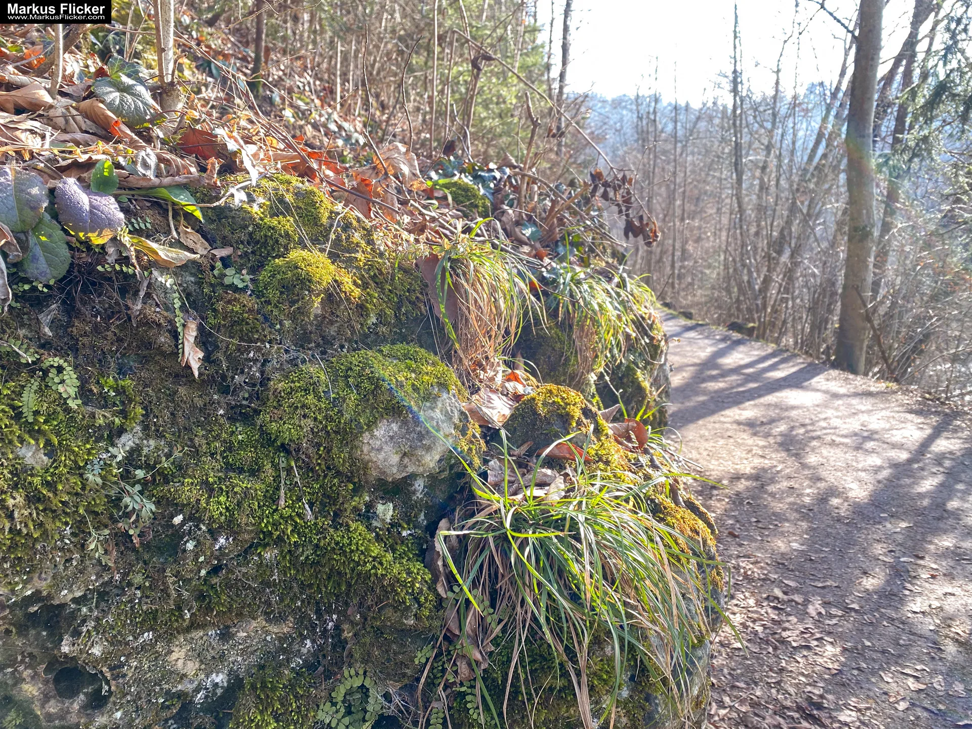 Thalersee Landeshauptstadt Graz Steiermark Österreich