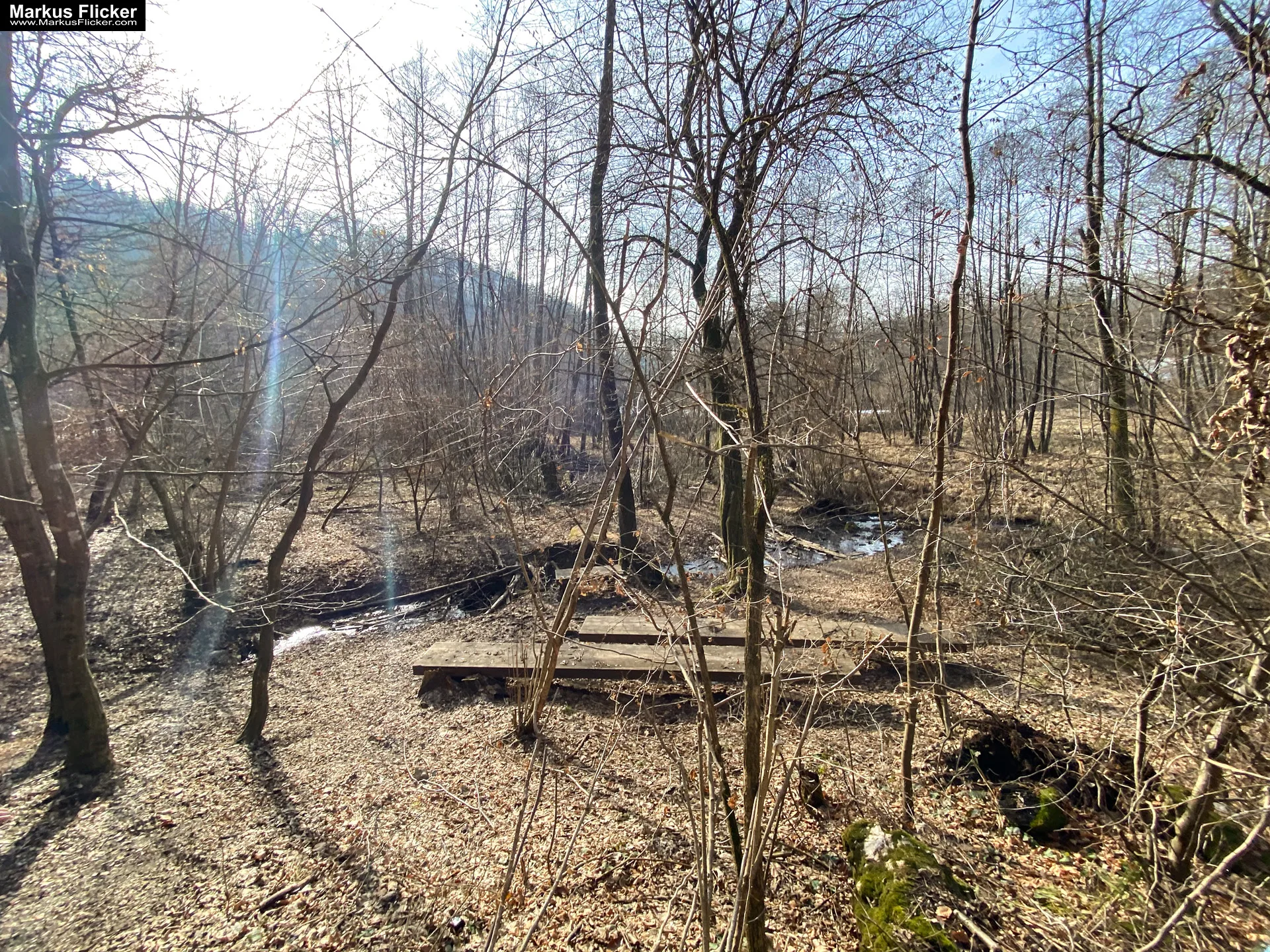 Thalersee Landeshauptstadt Graz Steiermark Österreich