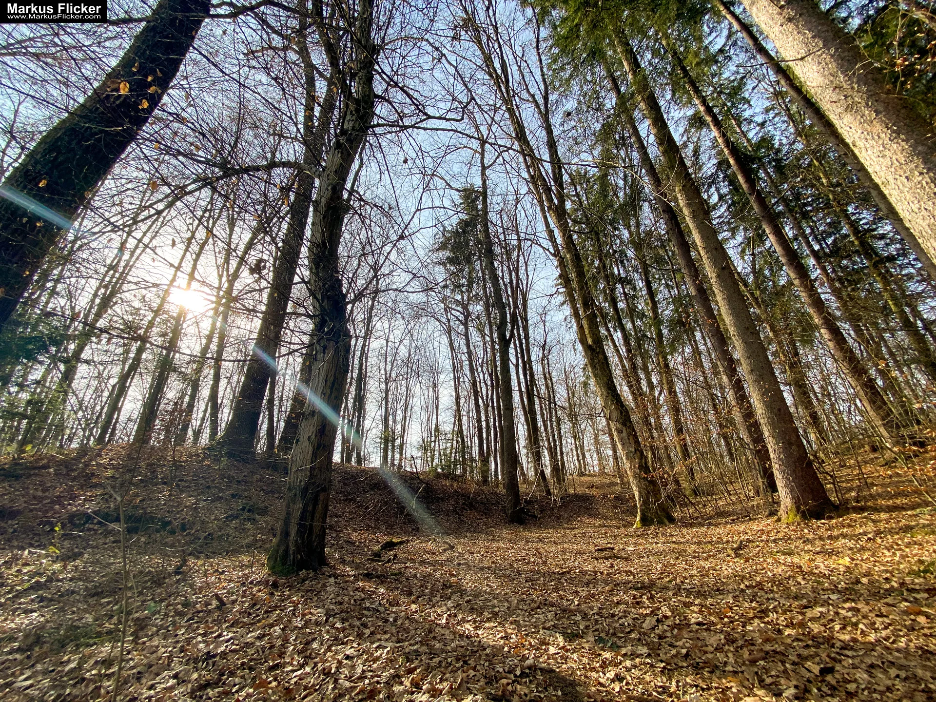 Thalersee Landeshauptstadt Graz Steiermark Österreich #visitstyria
