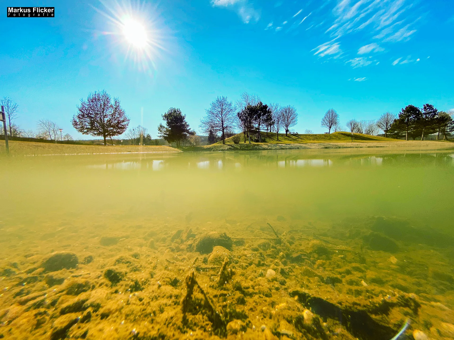 Freizeitzentrum Großsteinbach, Strandgut und Schachblume Steiermark Badesee