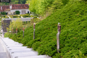 Tierwelt Tierpark Herberstein beim Schloss Herberstein