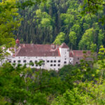 Tierwelt Tierpark Herberstein beim Schloss Herberstein Steiermark #visiststyria #visitaustria