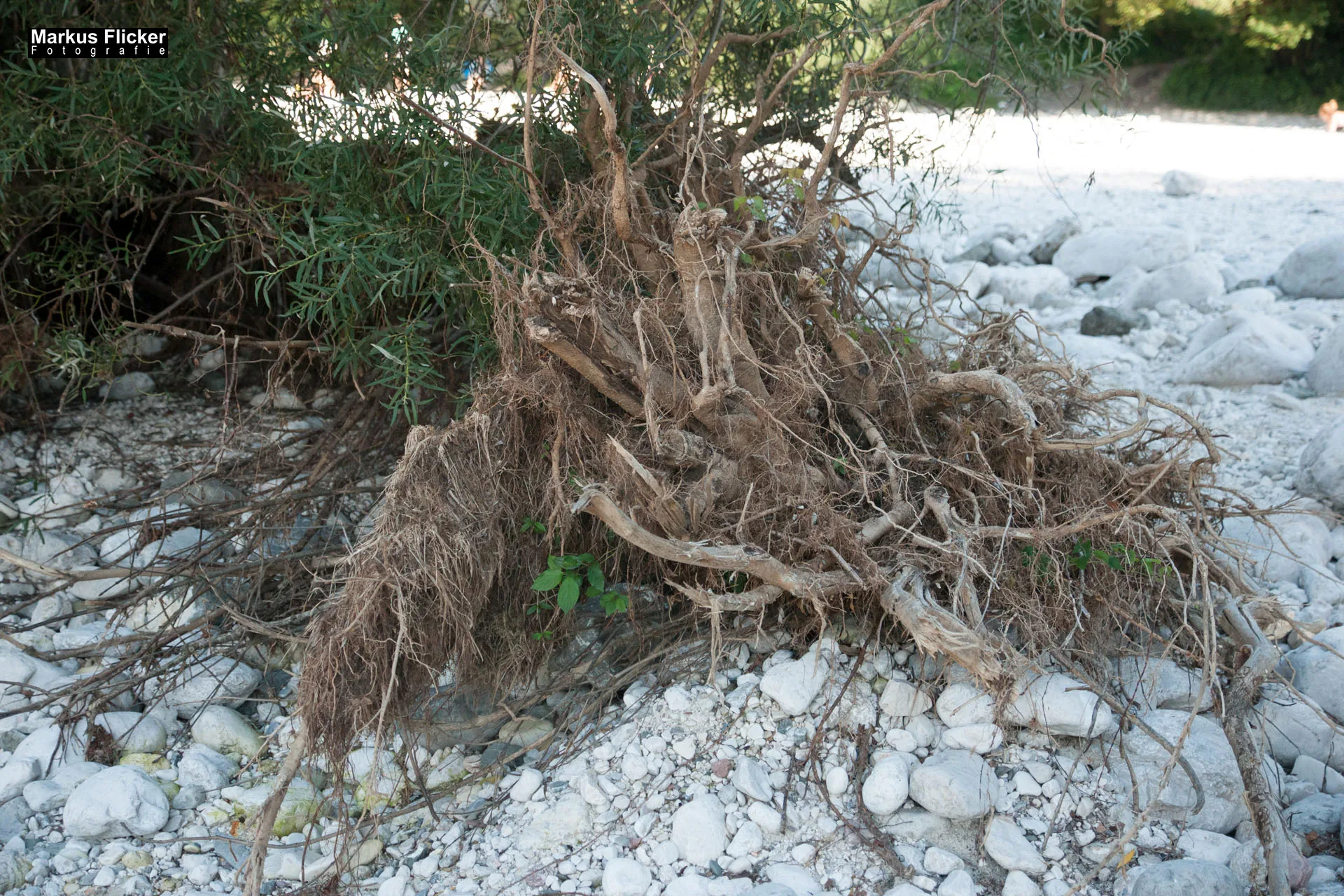 Bovec – Soca / Isonzo in Slowenien im Nationalpark Triglav