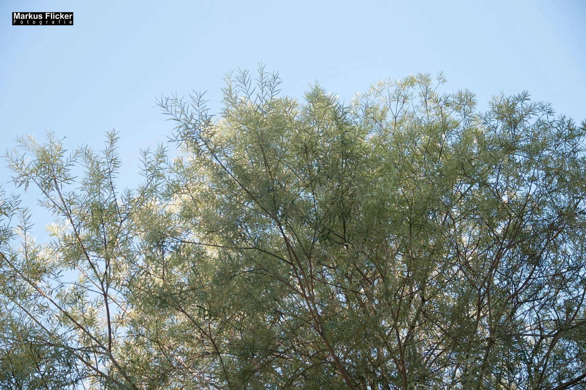 Bovec – Soca / Isonzo in Slowenien im Nationalpark Triglav