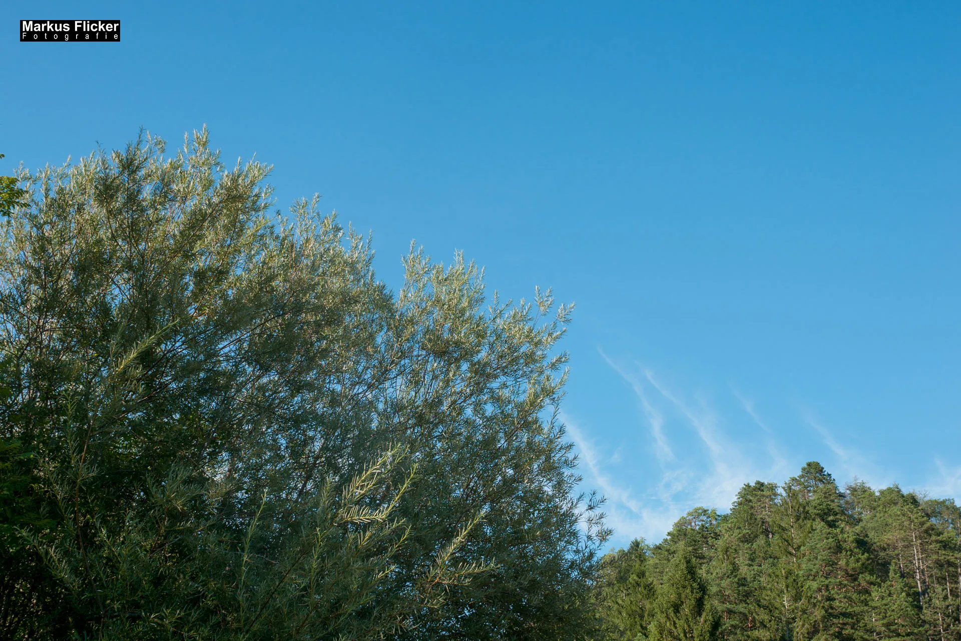 Bovec – Soca / Isonzo in Slowenien im Nationalpark Triglav