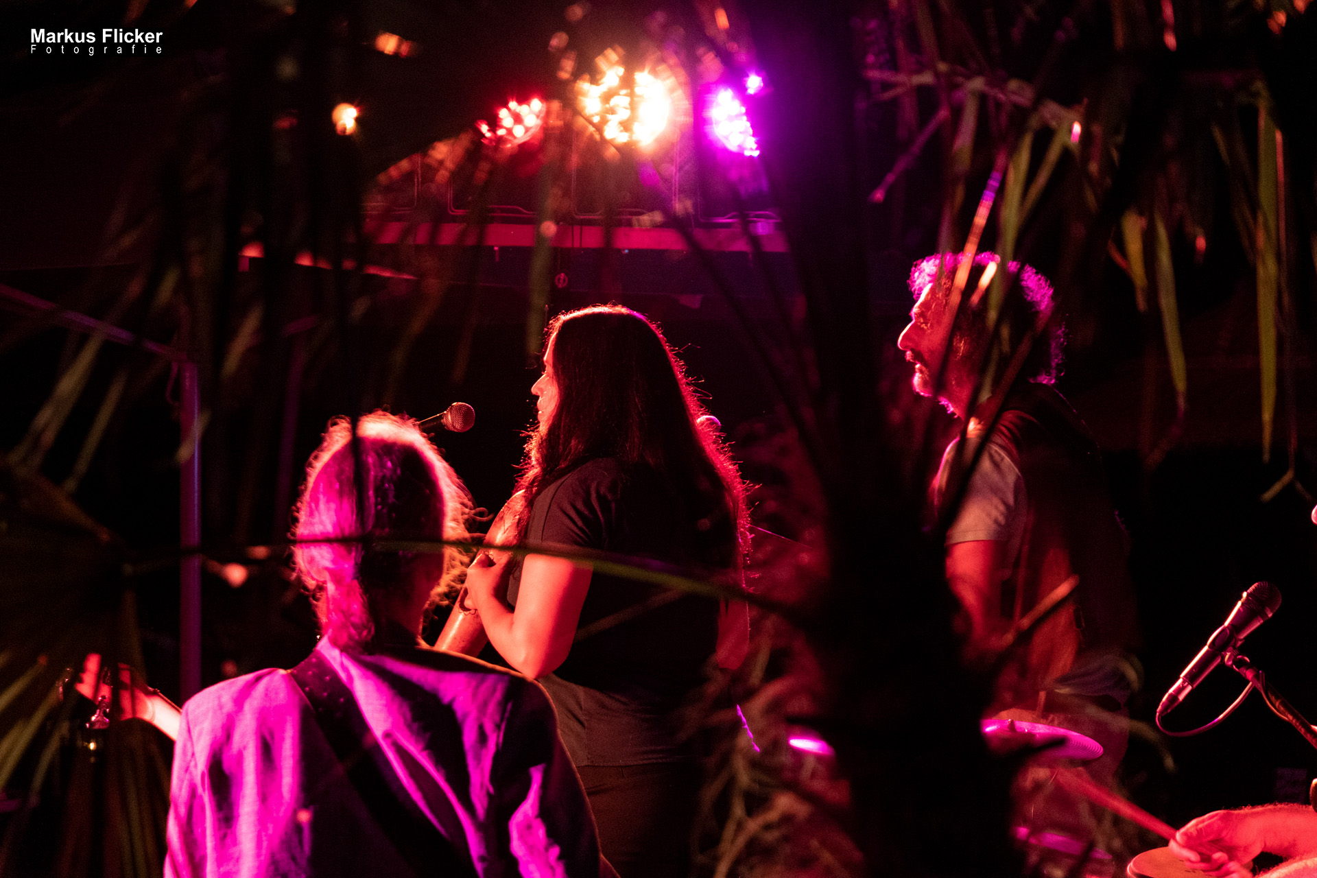 Ankerpunkt Tillmitsch Der Prachthafen im Süden der Steiermark Österreich