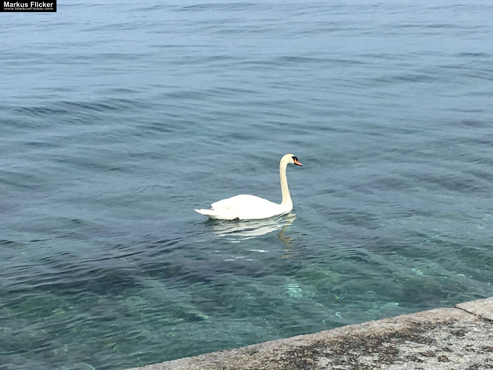 Piran am Meer in Slowenien an der Adria