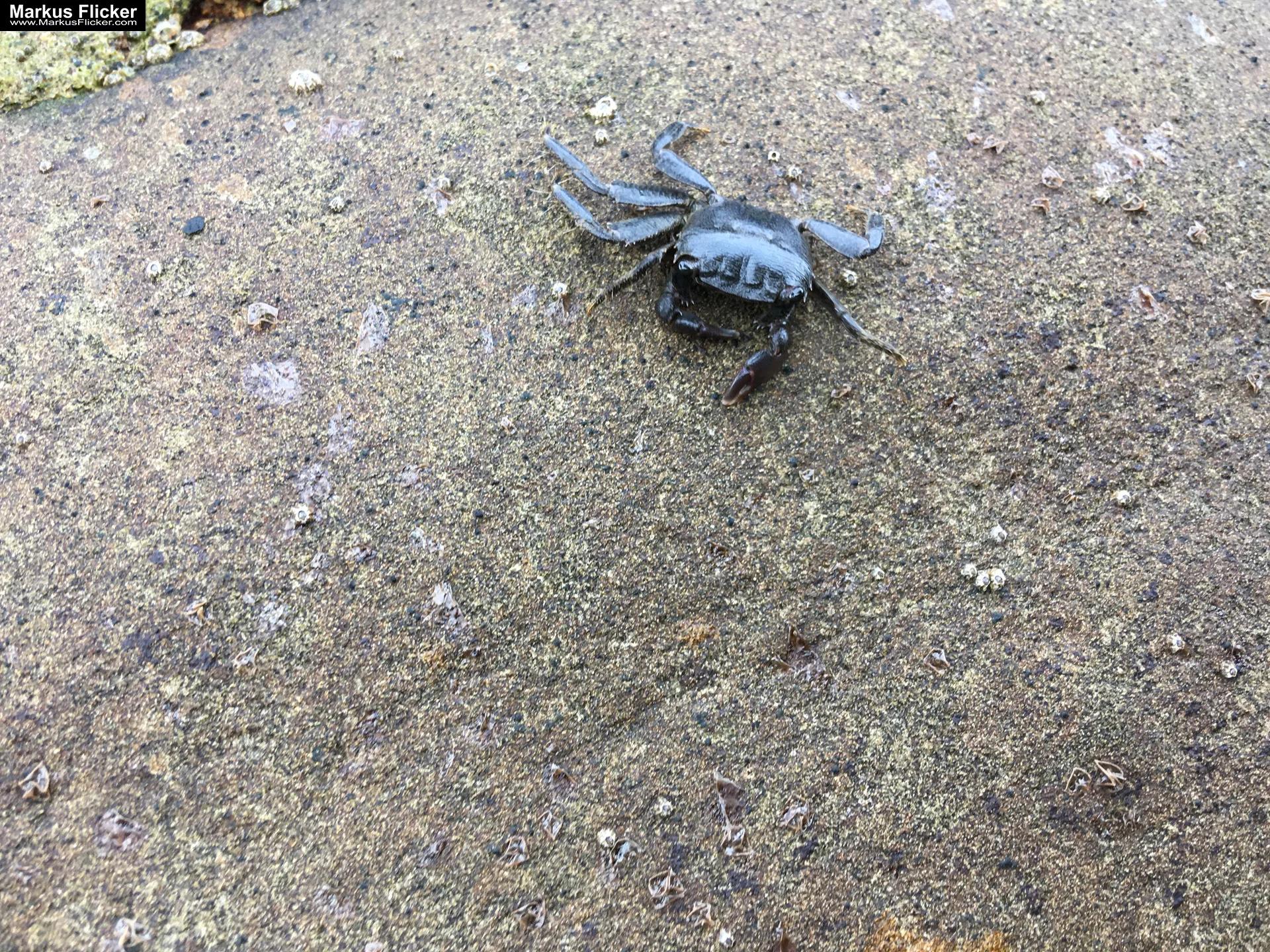 Piran am Meer in Slowenien an der Adria