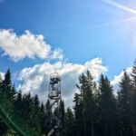 Wildwiesenhütte und Aussichtswarte in Miesenbach in der Steiermark