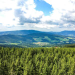 Wildwiesenhütte und Aussichtswarte in Miesenbach in der Steiermark