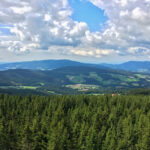 Wildwiesenhütte und Aussichtswarte in Miesenbach in der Steiermark