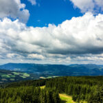 Wildwiesenhütte und Aussichtswarte in Miesenbach in der Steiermark