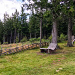 Wildwiesenhütte und Aussichtswarte in Miesenbach in der Steiermark