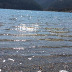 STUBENBERGSEE IN DER STEIERMARK in Österreich