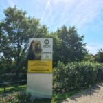 Tierwelt Tierpark Herberstein beim Schloss Herberstein