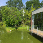 Tierwelt Tierpark Herberstein beim Schloss Herberstein