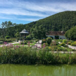 Tierwelt Tierpark Herberstein beim Schloss Herberstein