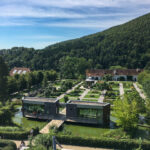 Tierwelt Tierpark Herberstein beim Schloss Herberstein