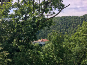 Tierwelt Tierpark Herberstein beim Schloss Herberstein