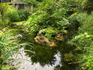 Tierwelt Tierpark Herberstein beim Schloss Herberstein