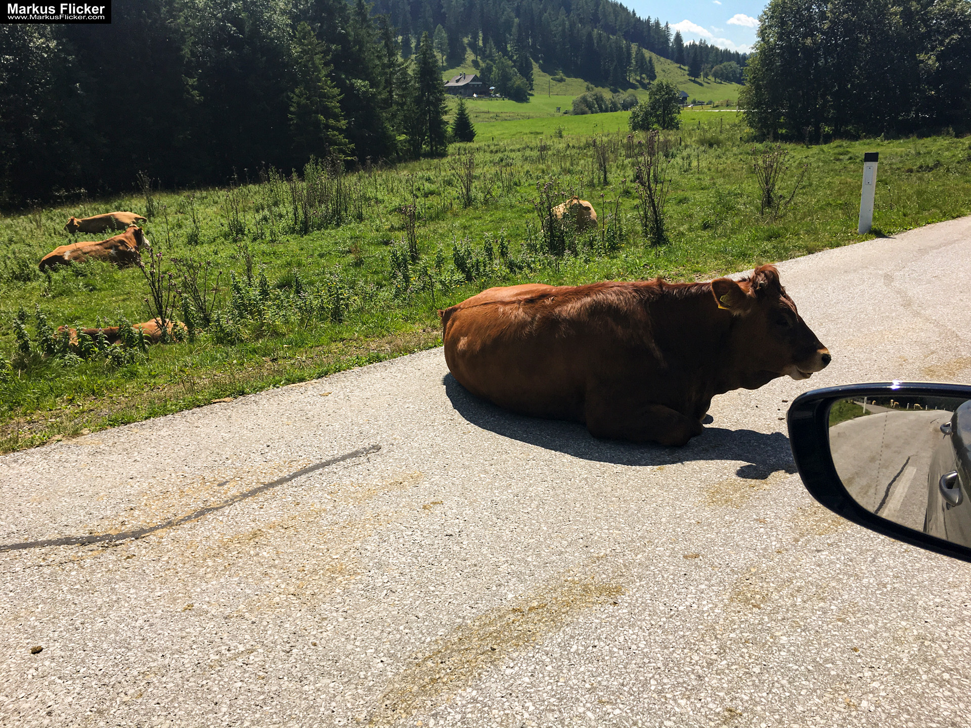 Teichalm / Sommeralm Almenland Steiermark Sommer und Winter