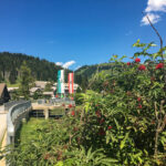 Teichalm / Sommeralm Almenland Steiermark Sommer und Winter