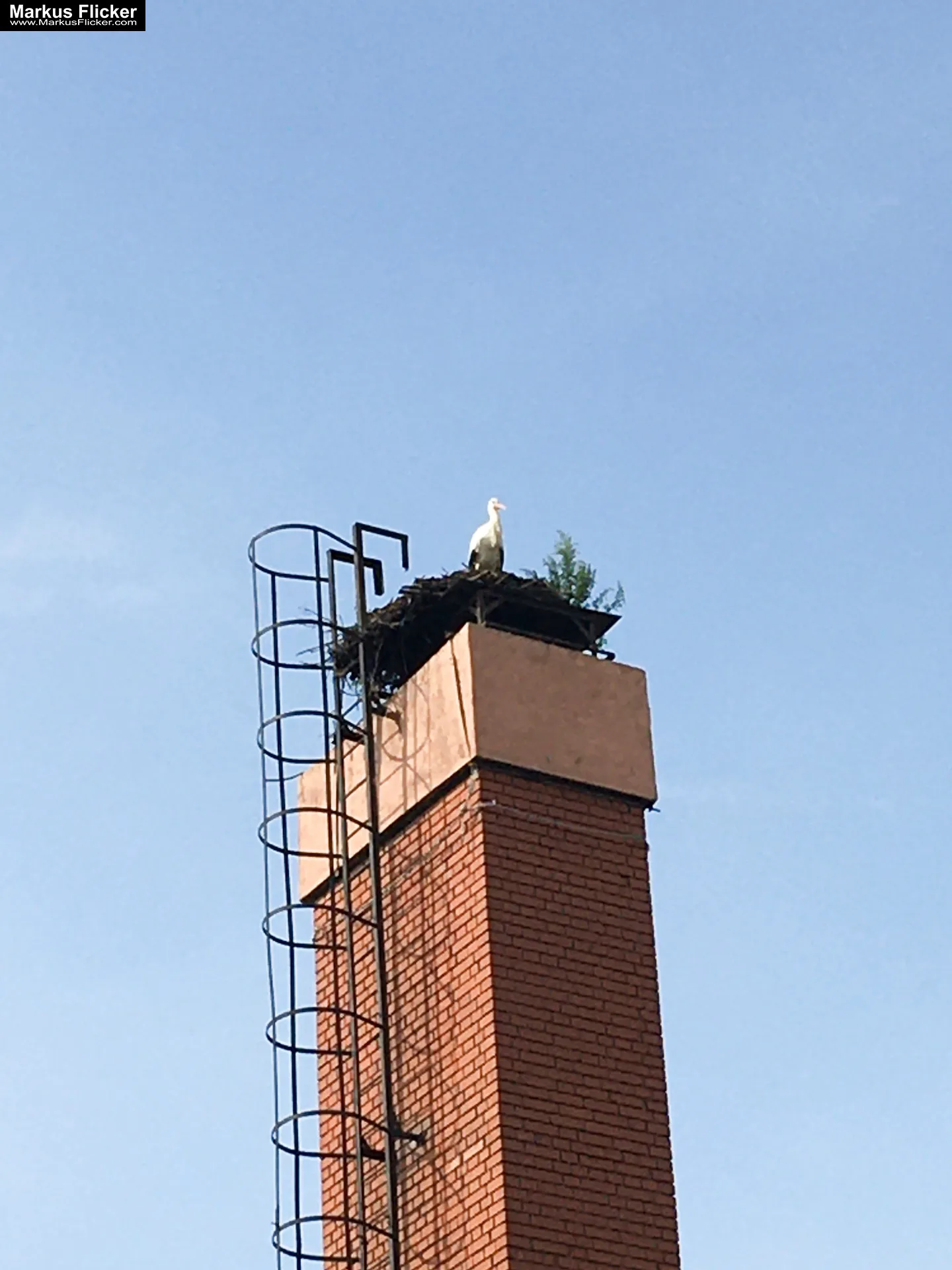 MJUS World Resort & Thermal Park Körmend Ungarn