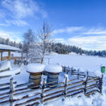 Teichalm Sommeralm Almenland Steiermark Sommer und Winter Österreich