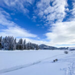 Teichalm / Sommeralm Almenland Steiermark Sommer und Winter