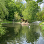 Tierwelt Tierpark Herberstein beim Schloss Herberstein