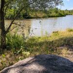 Auwiesen Naherholungsgebiet Naturerlebnis Murauen Graz