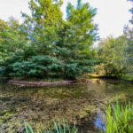 Auwiesen Naherholungsgebiet Naturerlebnis Murauen Graz