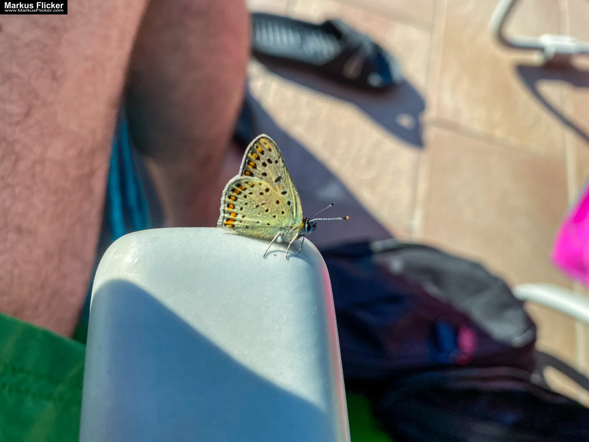 Thermenresort Loipersdorf Steiermark inkl. SCHAFFELBAD