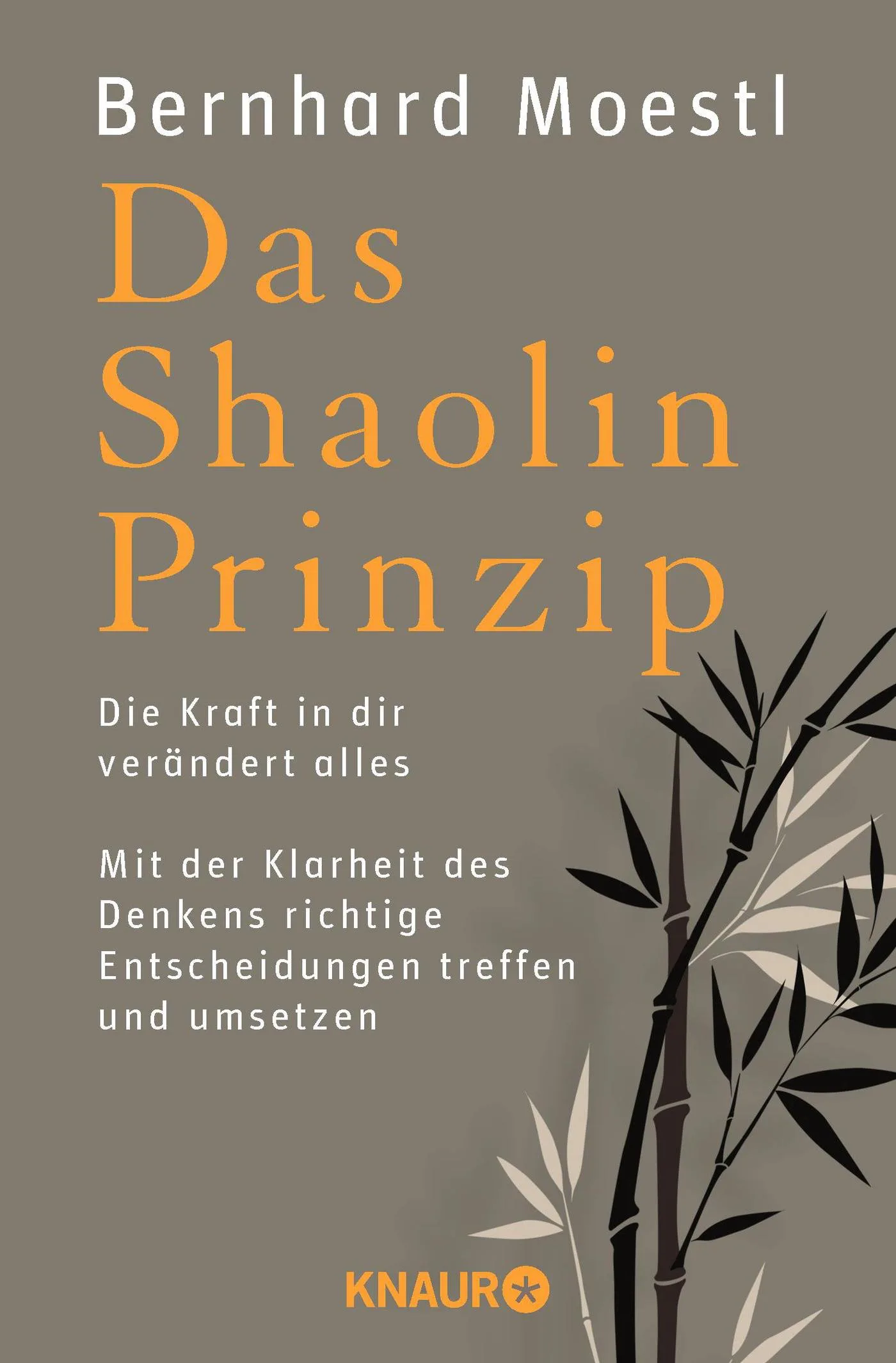 Mehr über den Artikel erfahren Das Shaolin Prinzip: Die Kraft in dir verändert alles. Mit der Klarheit des Denkens richtige Entscheidungen treffen und umsetzen von Bernhard Möstl