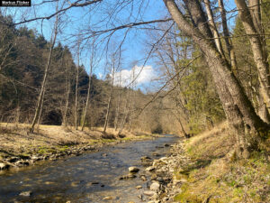 Fotospaziergang Steiermark im Frühling in der Raabklamm mit dem Smartphone Ein kreativer Spaziergang mit dem Handy in der Natur