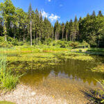 Hotel & Therme NOVA Köflach Voitsberg Steiermark