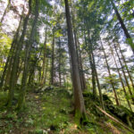 Aussichtsberg Plombergstein St. Gilgen am Wolfgangsee Salzkammergut Salzburg