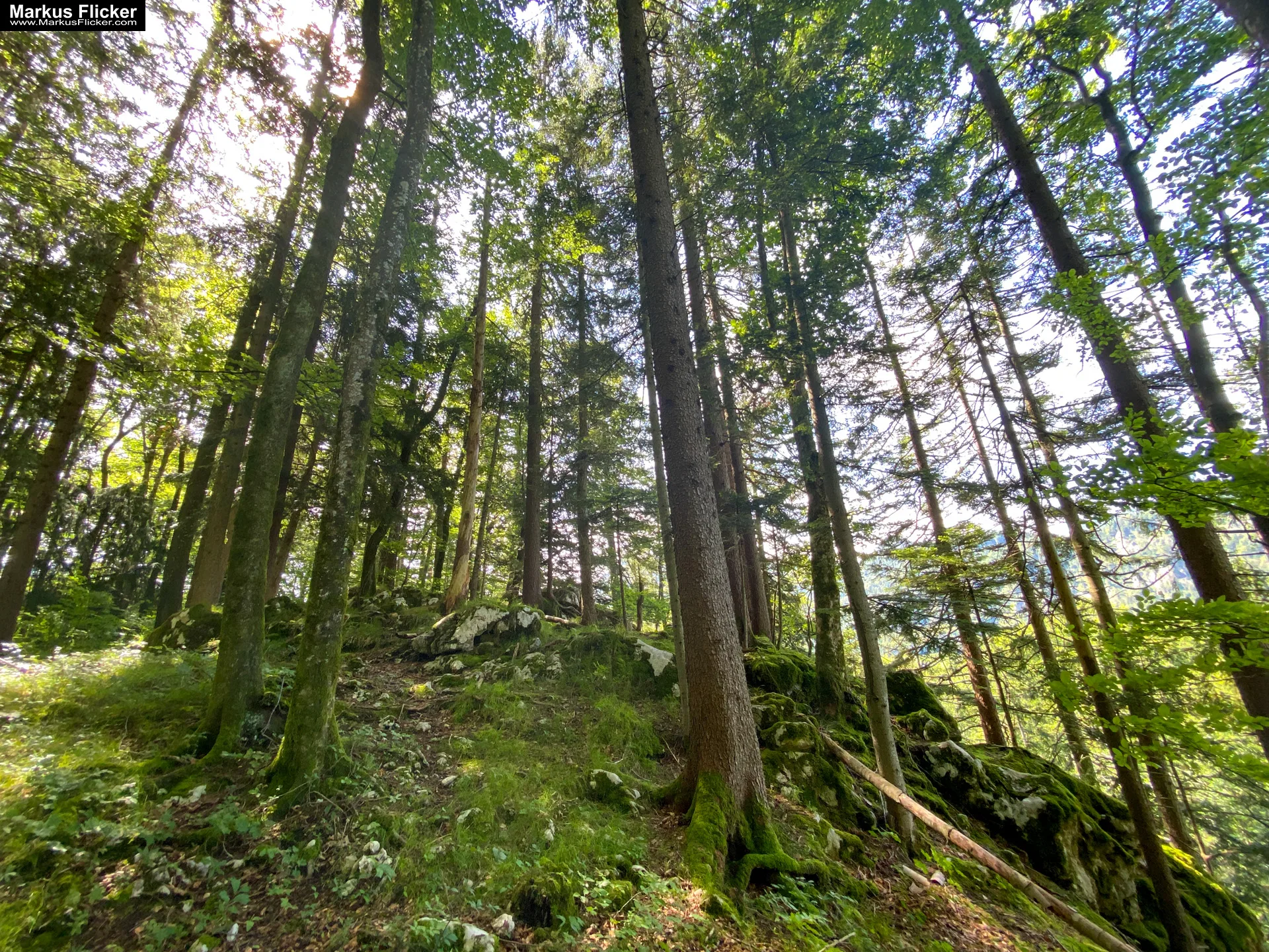 Aussichtsberg Plombergstein St. Gilgen am Wolfgangsee Salzkammergut Salzburg