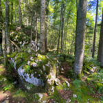 Aussichtsberg Plombergstein St. Gilgen am Wolfgangsee Salzkammergut Salzburg