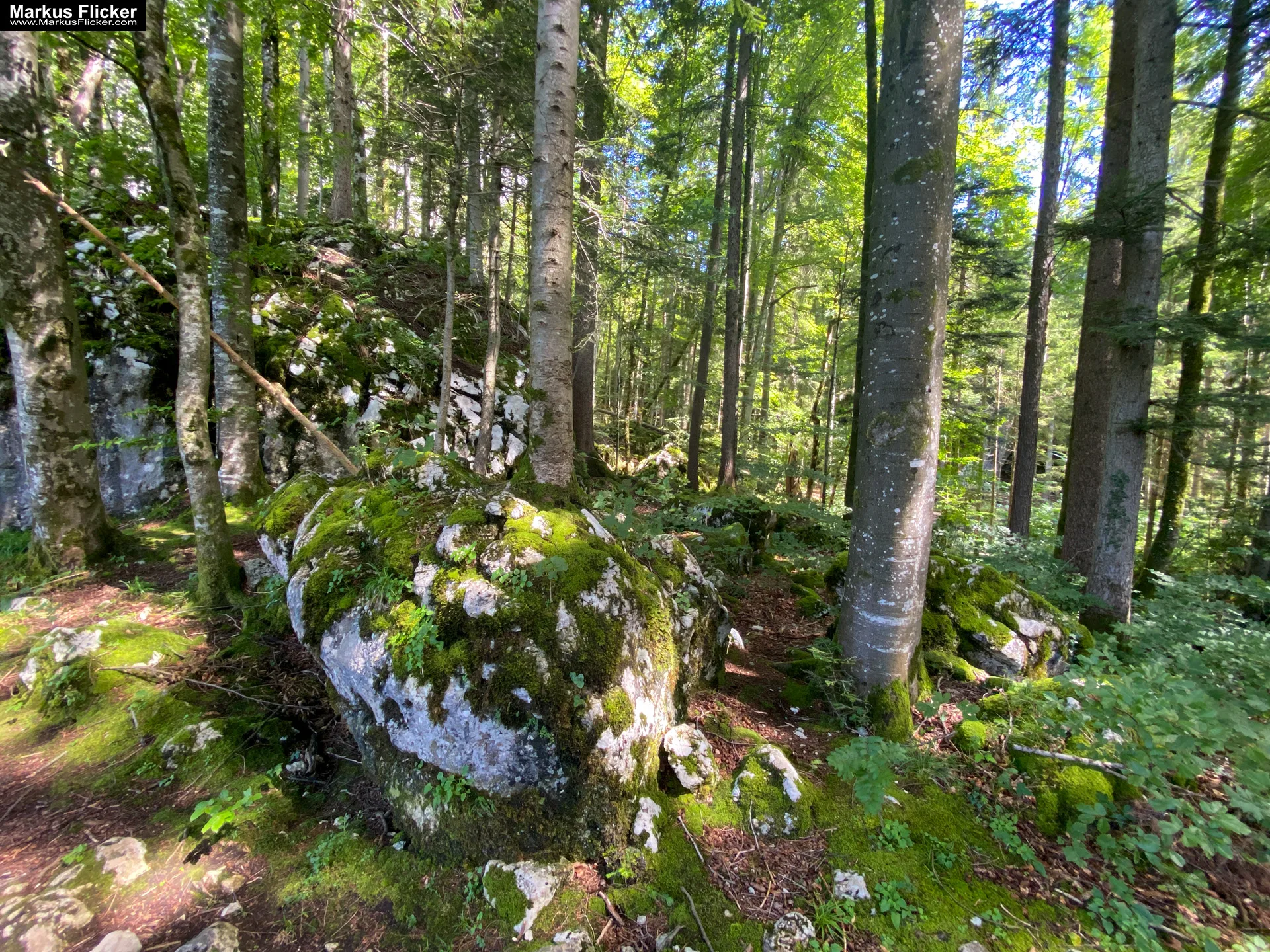 Aussichtsberg Plombergstein St. Gilgen am Wolfgangsee Salzkammergut Salzburg