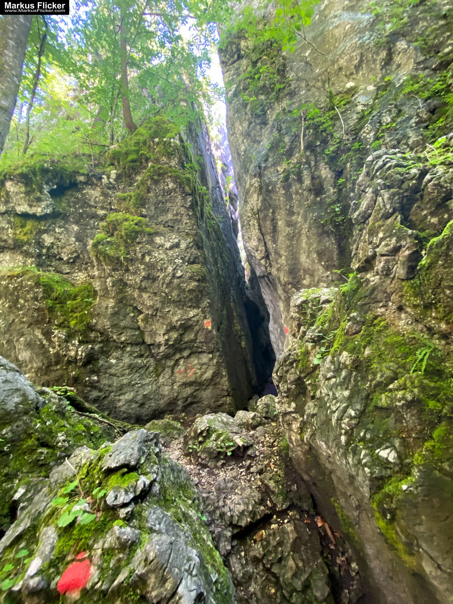 Aussichtsberg Plombergstein St. Gilgen am Wolfgangsee Salzkammergut Salzburg