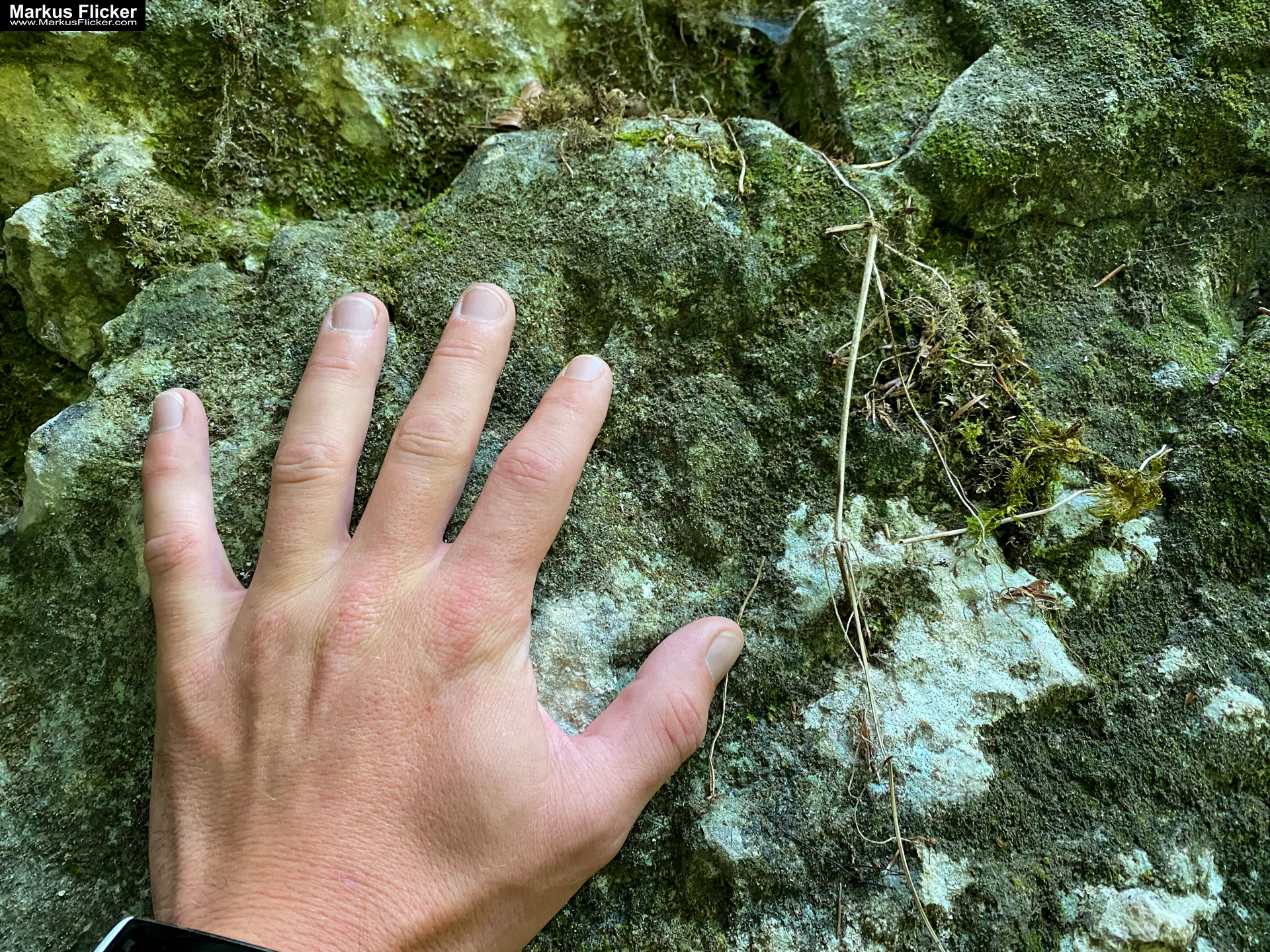 Aussichtsberg Plombergstein St. Gilgen am Wolfgangsee Salzkammergut Salzburg