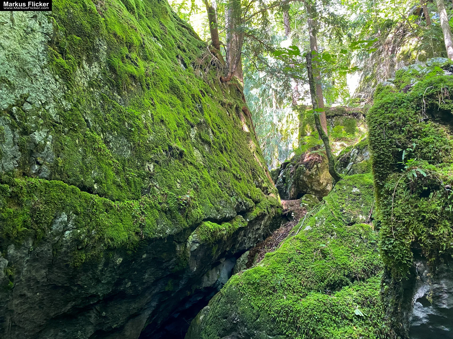 Aussichtsberg Plombergstein St. Gilgen am Wolfgangsee Salzkammergut Salzburg