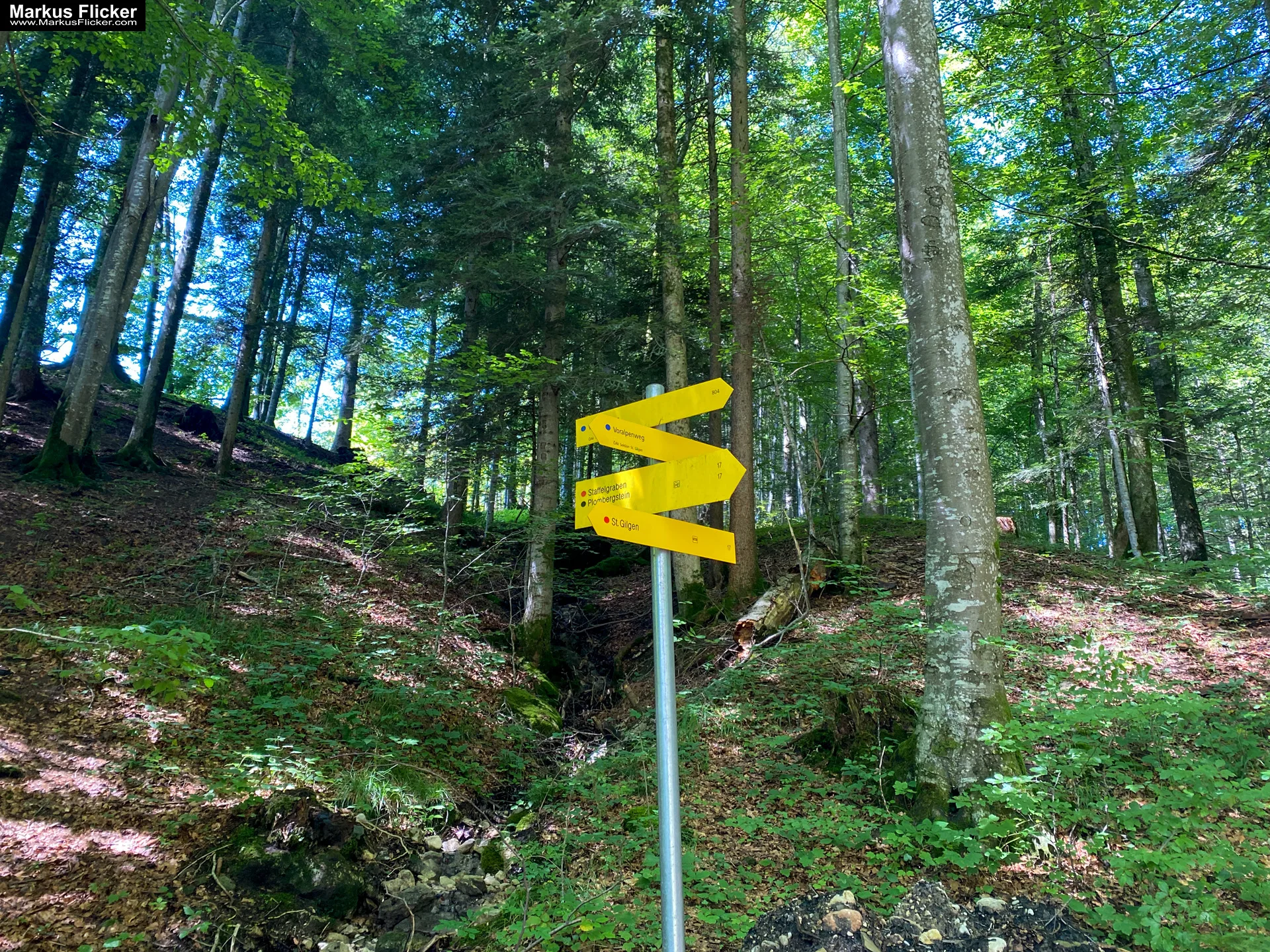 Aussichtsberg Plombergstein St. Gilgen am Wolfgangsee Salzkammergut Salzburg