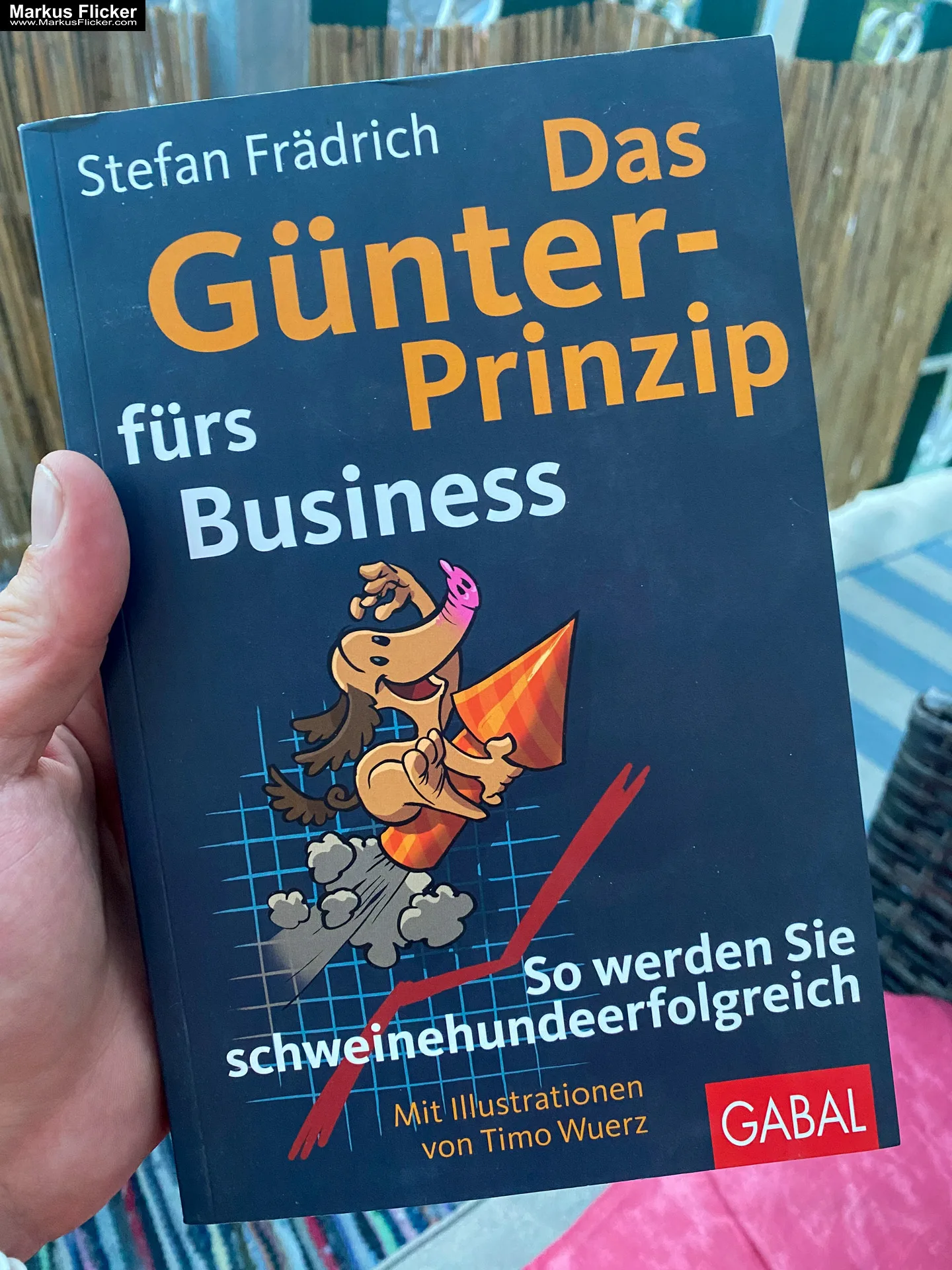 Mehr über den Artikel erfahren Das Günter-Prinzip fürs Business: So werden Sie schweinehundeerfolgreich (Günter, der innere Schweinehund) von Stefan Frädrich