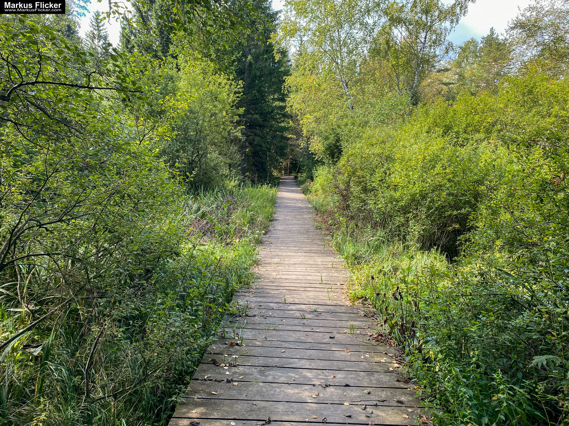 Packer Stausee in der Gemeinde Hirschegg-Pack Bezirk Voitsberg in der Steiermark