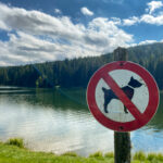 Packer Stausee in der Gemeinde Hirschegg-Pack Bezirk Voitsberg in der Steiermark