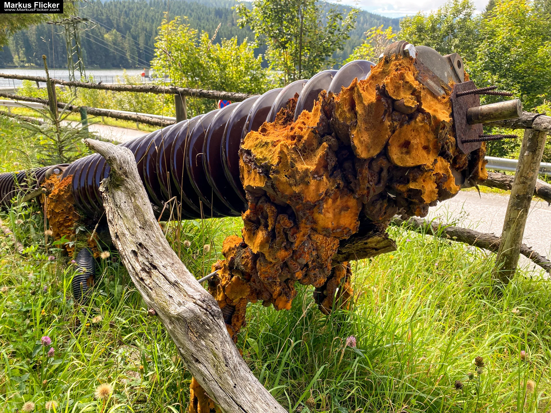 Packer Stausee in der Gemeinde Hirschegg-Pack Bezirk Voitsberg in der Steiermark