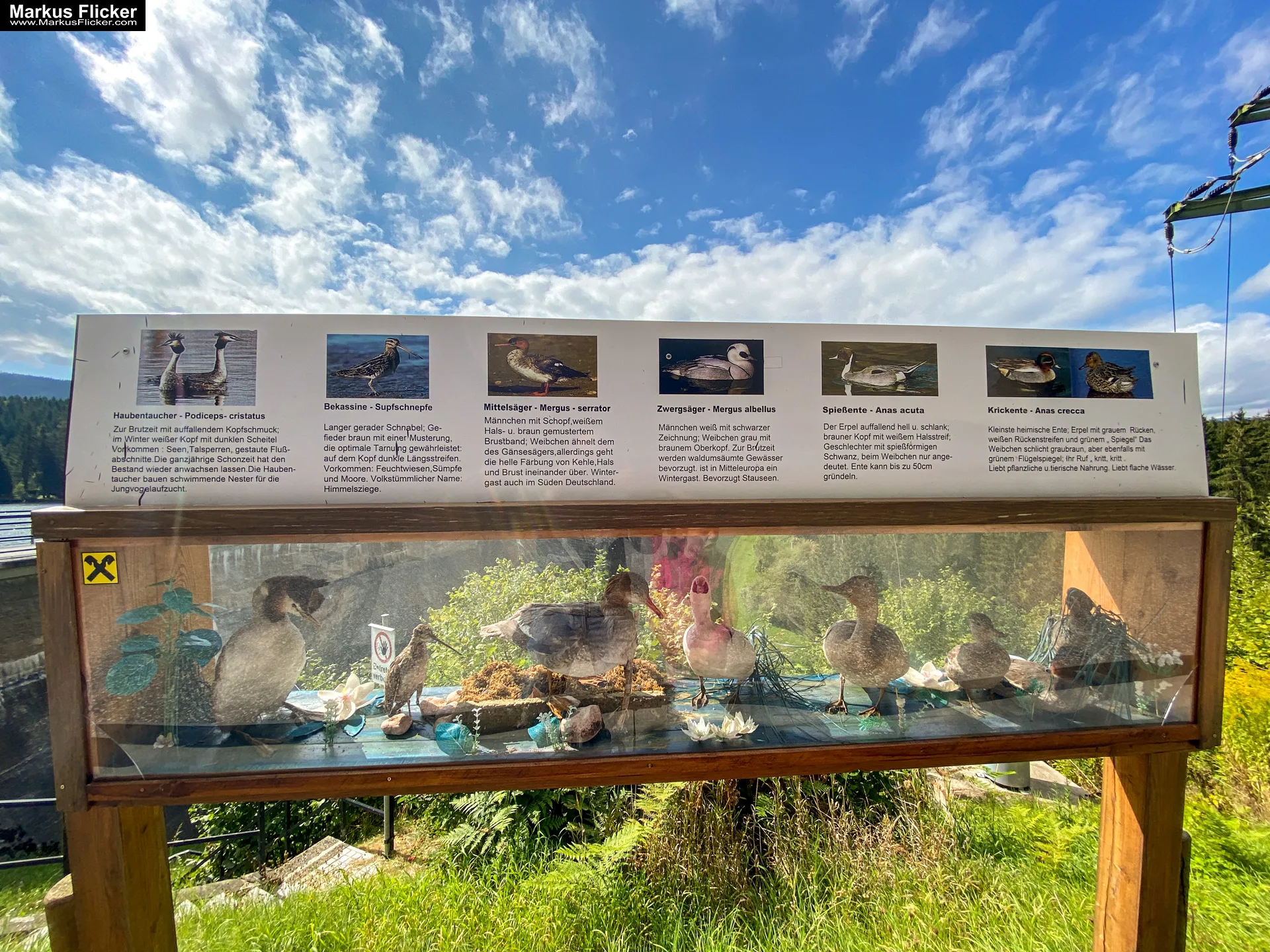 Packer Stausee in der Gemeinde Hirschegg-Pack Bezirk Voitsberg in der Steiermark